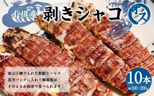 小樽産 剥き シャコ オス 10本 約100~200g 蝦蛄 刺し身