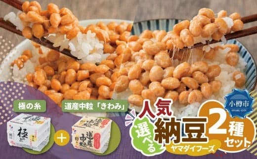 ヤマダイフーズ【 極の糸 北海道産極小粒納豆 】(40g×3パック)×12個(合計36パック)、道産中粒「きわみ」納豆 (3パック×12個)×2ケース(合計72パック)