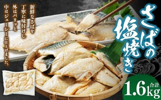 さばの塩焼き 合計1.6kg