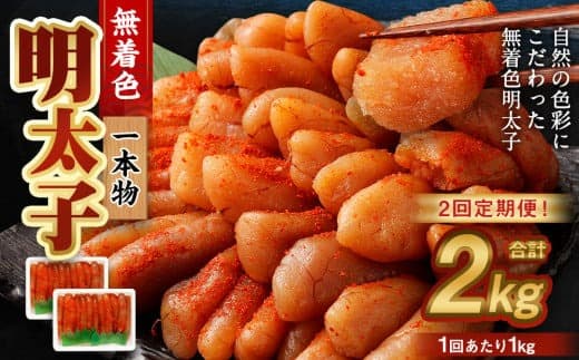 【2回定期便】無着色明太子 一本物 1kg(500g×2) めんたいこ 明太子 無着色 冷凍