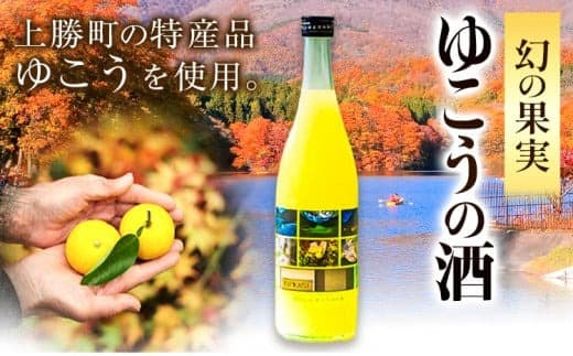 ゆこう の 酒 リキュール 8度 720ml 1本 幻の果実 柚香 株式会社高鉾建設 酒販事業部 《30日以内に出荷予定(土日祝除く)》 徳島県 上勝町 お酒 アルコール 果汁 炭酸割り ロック 国産 ギフト 贈答 送料無料---kamikatsu_tks_1_1pn--- (管理コード:kamikatsu_tks_1_1pn)