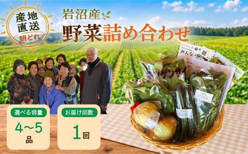 宮城県 岩沼産 産地直送 朝どれ 新鮮野菜 4~5種類 詰め合わせセット
