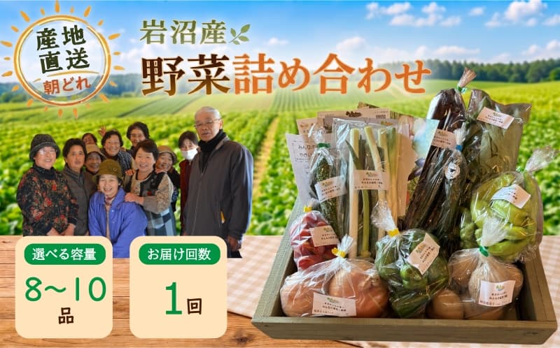 宮城県 岩沼産 産地直送 朝どれ 新鮮野菜 8~10種類 詰め合わせセット