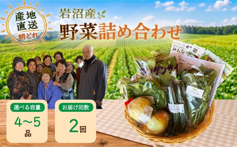 【定期便2ヶ月】宮城県 岩沼産 産地直送 朝どれ 新鮮野菜 4~5種類 詰め合わせセット