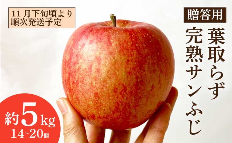 【11月下旬頃より順次発送予定】 贈答用 完熟 葉取らず サンふじ 5kg (14~20個) 良品 りんご