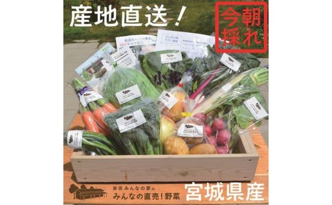 岩沼 みんなの家の 「 みんなの野菜 ! 」 朝どれ 野菜 8~10個 セット 詰め合わせ