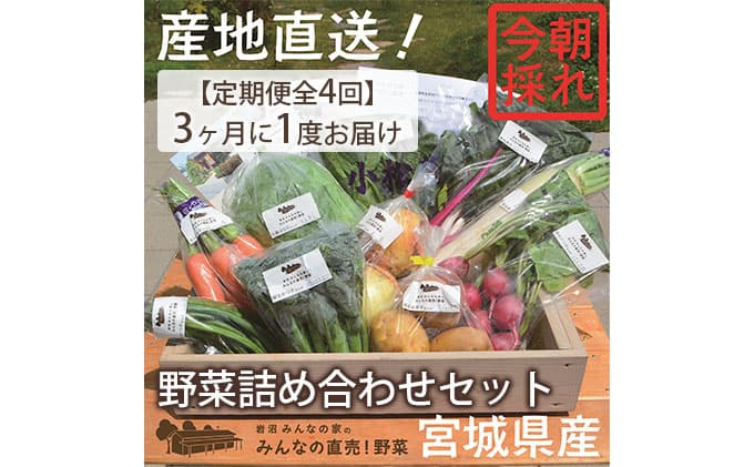 【定期便全4回】3ヶ月に1度お届け!岩沼みんなの家の「みんなの直売!野菜」セット詰め合わせ隔月4回 詰合せ
