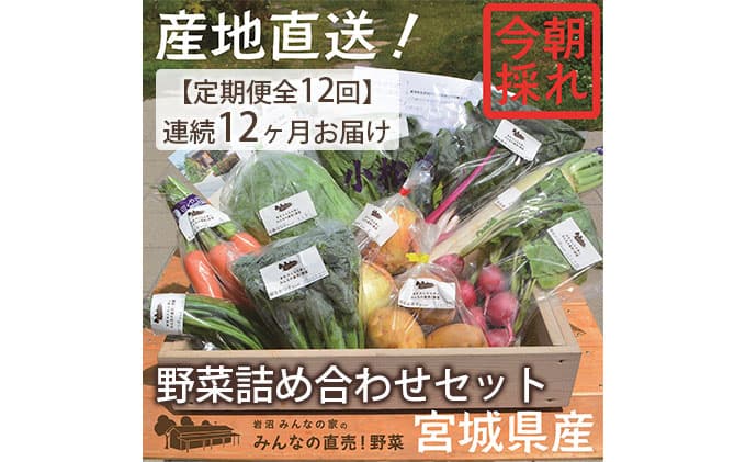 野菜 定期便 12ヵ月 朝どれ 野菜セット 8~10個 詰め合わせ 岩沼みんなの家 みんなの直売! 季節の野菜 旬の野菜 旬 東北 震災 支援 12ヶ月 産地直送 送料無料 冷蔵 冷蔵配送 宮城県産 宮城 宮城県 岩沼市 定期 12回