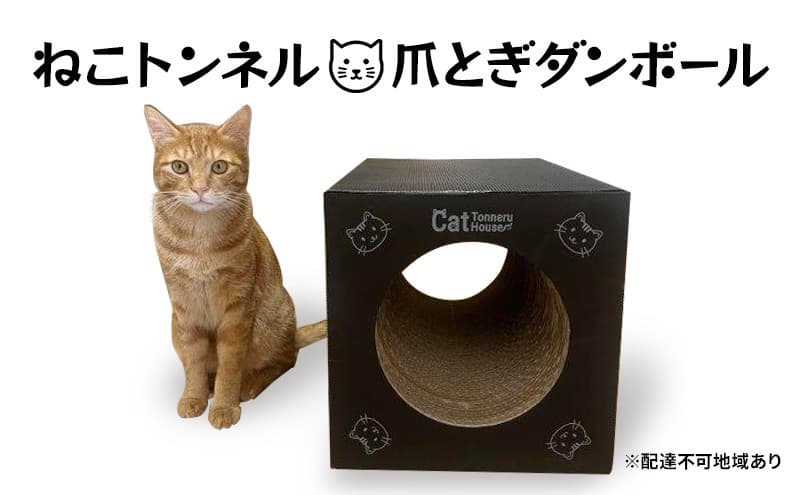 ねこトンネル~Cat Tonneru House~