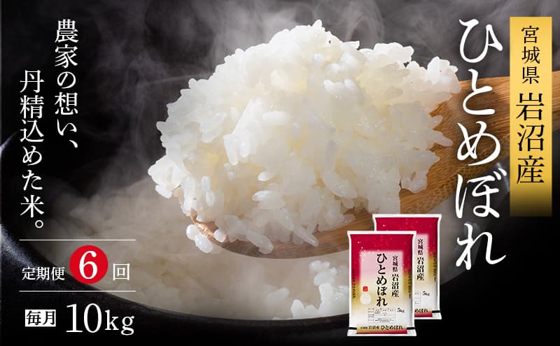 【令和7年産新米/6ヶ月連続定期便】ひとめぼれ 10kg×6回 米 岩沼産 お米 白米 精米 ブランド米 単一原料米 10キロ こめ コメ おこめ ご飯 ライス 東北 宮城県産 宮城県産ひとめぼれ 宮城米