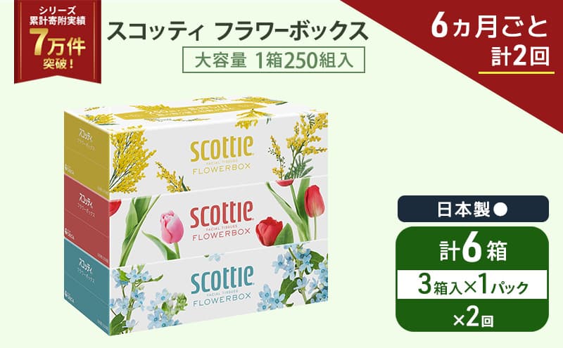 定期便 ティッシュ スコッティ フラワーボックス 3箱 × 1 パック《 6ヶ月ごと計 2回 》ティッシュセット