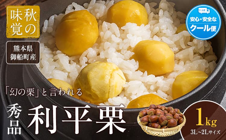 利平栗 熊本県御船町産限定 約1kg(3L-2Lサイズ) 野菜 予約 スイーツ きんとん 甘露煮 渋皮煮 栗ご飯 熊本県御船町《9月上旬-10月上旬出荷》---mifune_lcl_213_1---