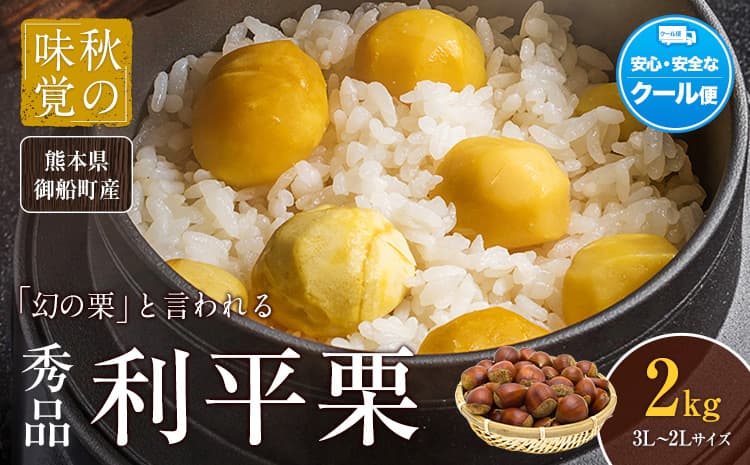 【先行予約】利平栗 熊本県御船町産限定 約2kg(3L-2Lサイズ) 秋 旬 野菜 予約 スイーツ きんとん 甘露煮 渋皮煮 栗ご飯 熊本県御船町《9月下旬-10月上旬頃出荷》---mifune_lcl_1700_2kg---