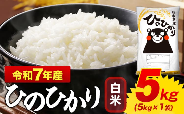 白米 ひのひかり 5kg 令和7年産 熊本県産 ふるさと納税 白米 精米 ひの 米 こめ ふるさとのうぜい ヒノヒカリ コメ お米 おこめ 《1-5日以内に出荷予定(土日祝除く)》---mifune_lcl_1211_5kg--- (管理コード:mifune_lcl_1211_5kg)