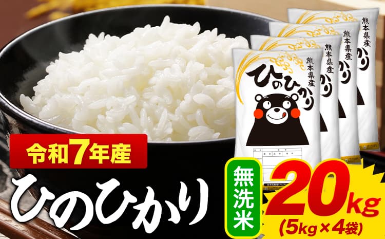 令和7年産 無洗米 ひのひかり 20kg 熊本県産 ふるさと納税 無洗米 精米 ひの 米 こめ ふるさとのうぜい ヒノヒカリ コメ お米 おこめ 《1-5日以内に出荷予定(土日祝除く)》---mifune_lcl_1216_20kg--- (管理コード:mifune_lcl_1216_20kg)