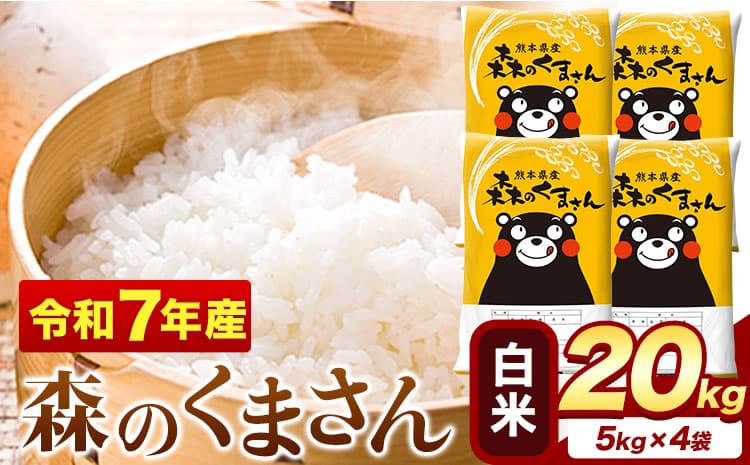 令和7年産 白米 森のくまさん 20kg 5kg × 4袋 熊本県産 単一原料米 森くま《1-5日以内に出荷予定(土日祝除く)》送料無料---mifune_lcl_1239_20kg--- (管理コード:mifune_lcl_1239_20kg)