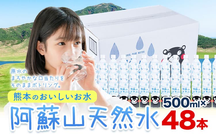 水 熊本 の おいしい お水 阿蘇山 天然水 500ml × 48本 2ケース 丸富産業《30日以内に出荷予定(土日祝除く)》熊本県 御船町 水 天然水 みず 熊本 飲料 熊本県 ミネラルウォーター---mifune_mrt_2_48---