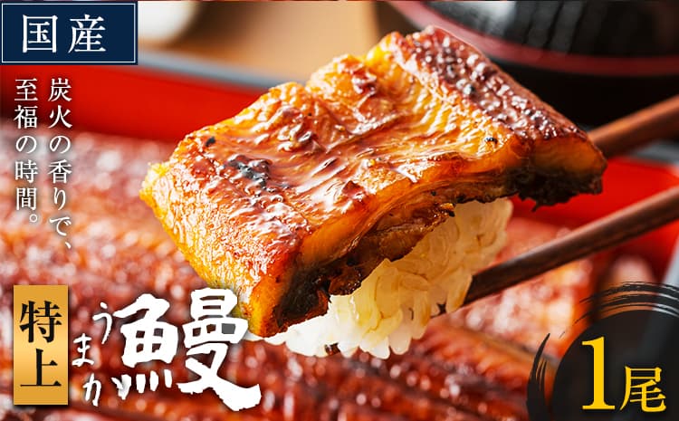 【夏のおすすめ特集】うなぎ 特上サイズ 1尾 国産 鰻 真空パック おすすめ うなぎの蒲焼 《30日以内に出荷予定(土日祝除く)》 有頭 ふるさとのうぜい 鶏炭火焼 特上 簡易包装 ウナギ unagi 蒲焼 秋 冬 旬 配送時期 冷凍---mifune_lcl_75_1dai---
