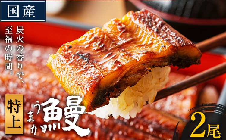 【ローソンふるさと納税限定】うなぎ 特上サイズ 2尾 国産 鰻 真空パック おすすめ うなぎの蒲焼 《30日以内に出荷予定(土日祝除く)》 有頭 ふるさとのうぜい 鶏炭火焼 特上 簡易包装 ウナギ unagi 蒲焼 秋 冬 旬 配送時期 冷凍---mifune_lcl_76_2dai---