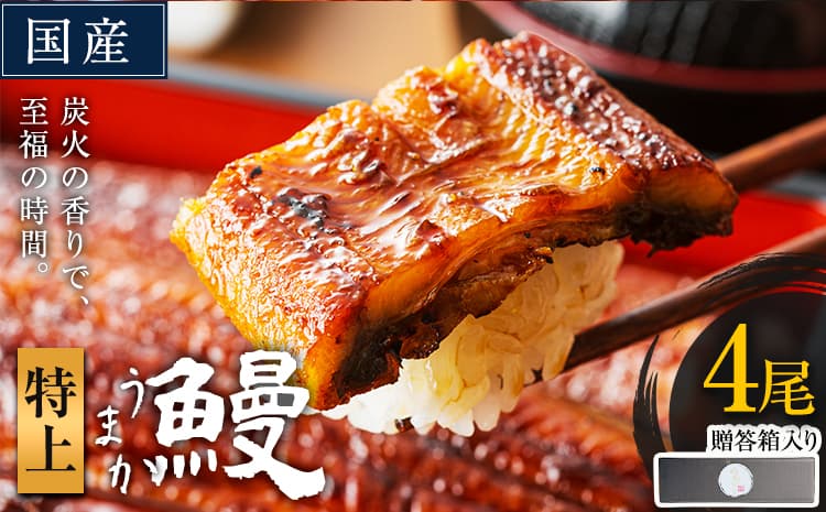 うなぎ 特上サイズ 4尾 贈答箱入り 国産 鰻 真空パック おすすめ うなぎの蒲焼 《30日以内に出荷予定(土日祝除く)》 ふるさとのうぜい 鶏炭火焼 特上 簡易包装 ウナギ unagi 蒲焼 秋 冬 旬 配送時期 冷凍---mifune_lcl_1144_4dai---