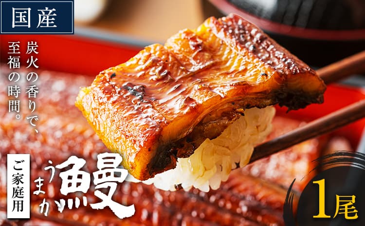 【夏のおすすめ特集】うなぎ ご家庭用 1尾 国産 鰻 真空パック おすすめ うなぎの蒲焼 《30日以内に出荷予定(土日祝除く)》 有頭 ふるさとのうぜい 鶏炭火焼 訳あり 簡易包装 不揃い ウナギ unagi 蒲焼 秋 冬 旬 配送時期 冷凍---mifune_lcl_71_1p---