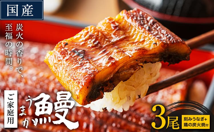 【夏のおすすめ特集】うなぎ ご家庭用 3尾 (刻みうなぎ2袋&鶏の炭火焼1袋付き)国産 鰻 真空パック おすすめ うなぎの蒲焼 《30日以内に出荷予定(土日祝除く)》 有頭 ふるさとのうぜい 鶏炭火焼 訳あり 簡易包装 不揃い ウナギ unagi 蒲焼 秋 冬 旬 配送時期 冷凍---mifune_lcl_73_3p---