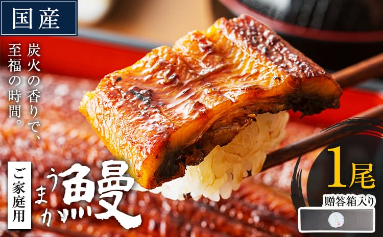 うなぎ 1尾【贈答箱入り】 国産 鰻 真空パック おすすめ うなぎの蒲焼 《30日以内に出荷予定(土日祝除く)》 有頭 ふるさとのうぜい 鶏炭火焼 訳あり 簡易包装 不揃い ウナギ unagi 蒲焼 秋 冬 旬 配送時期 冷凍---mifune_lcl_1137_1p---