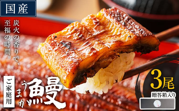 うなぎ3尾+刻みうなぎ2袋【贈答箱入り】国産 鰻 真空パック おすすめ うなぎの蒲焼 《30日以内に出荷予定(土日祝除く)》 有頭 ふるさとのうぜい 鶏炭火焼 訳あり 簡易包装 不揃い ウナギ unagi 蒲焼 秋 冬 旬 配送時期 冷凍---mifune_lcl_1139_3p---