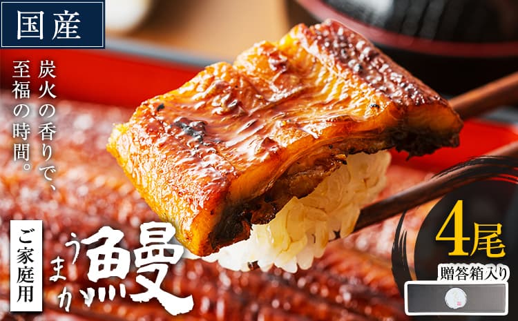 うなぎ4尾+刻みうなぎ2袋【贈答箱入り】 国産 鰻 真空パック おすすめ うなぎの蒲焼 《30日以内に出荷予定(土日祝除く)》 有頭 ふるさとのうぜい 鶏炭火焼 訳あり 簡易包装 不揃い ウナギ unagi 蒲焼 秋 冬 旬 配送時期 冷凍 0 うなぎ ご家庭用 4尾 (刻みうなぎ2袋&鶏の炭火焼1袋付き) 国産 鰻 真空パック おすすめ うなぎの蒲焼 《30日以内に出荷予定(土日祝除く)》 有頭 ふるさとのうぜい 訳あり 簡易包装 不揃い ウナギ unagi 蒲焼 秋 冬 旬 配送時期 冷凍---mifune_lcl_1140_4p---