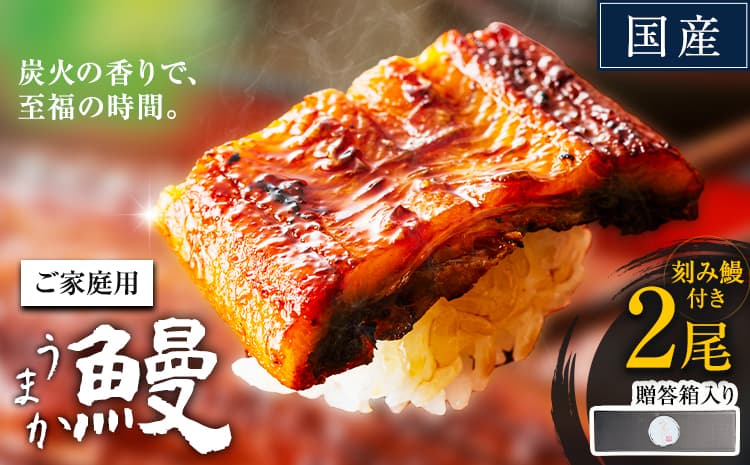 【おすすめの海産物特集】うなぎ ご家庭用 刻み鰻付き 2尾【贈答箱入り】国産 鰻 真空パック おすすめ うなぎの蒲焼 《3-7日以内に出荷予定(土日祝除く)》 有頭 ふるさとのうぜい 鶏炭火焼 訳あり 簡易包装 不揃い ウナギ unagi 蒲焼 秋 冬 旬 配送時期 冷凍---mifune_lcl_1452_2ba---