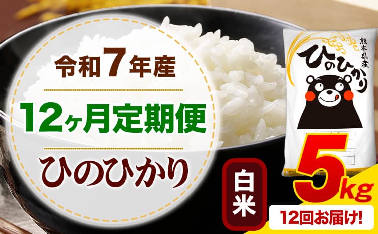 【12ヶ月定期便】令和7年産 白米 ひのひかり 定期便 5kg《お申込み翌月から出荷》熊本県産 ふるさと納税 精米 ひの 米 こめ ふるさとのうぜい ヒノヒカリ コメ お米---mifune_lcl_1229_mo12_---