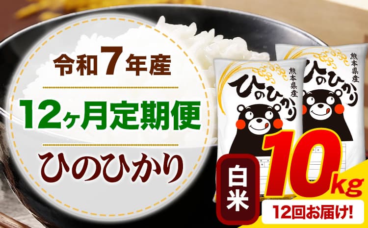 【12ヶ月定期便】令和7年産 白米 ひのひかり 定期便 10kg《お申込み翌月から出荷》熊本県産 ふるさと納税 精米 ひの 米 こめ ふるさとのうぜい ヒノヒカリ コメ お米---mifune_lcl_1231_mo12_---