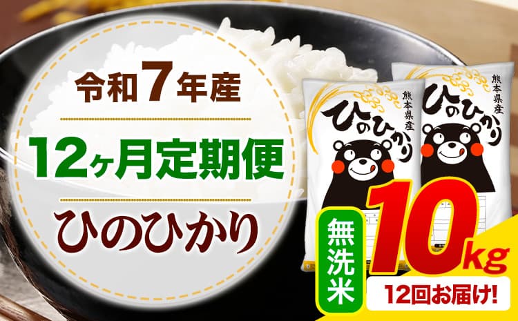 【12ヶ月定期便】令和7年産 無洗米 ひのひかり 定期便 10kg《お申込み翌月から出荷》熊本県産 ふるさと納税 精米 ひの 米 こめ ふるさとのうぜい ヒノヒカリ コメ お米---mifune_lcl_1232_mo12_---