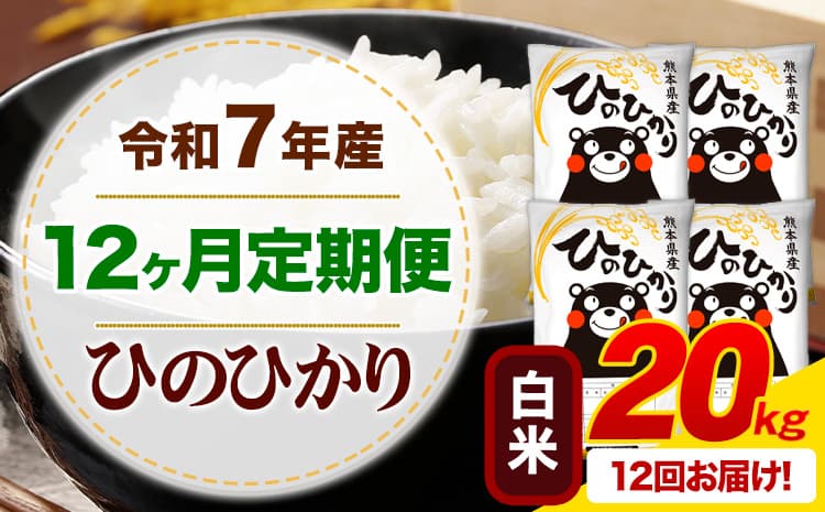 【12ヶ月定期便】令和7年産 白米 ひのひかり 定期便 20kg《お申込み翌月から出荷》熊本県産 ふるさと納税 精米 ひの 米 こめ ふるさとのうぜい ヒノヒカリ コメ お米---mifune_lcl_1233_mo12_--