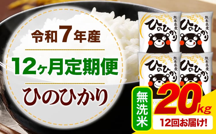 【12ヶ月定期便】令和7年産 無洗米 ひのひかり 定期便 20kg《お申込み翌月から出荷》熊本県産 ふるさと納税 精米 ひの 米 こめ ふるさとのうぜい ヒノヒカリ コメ お米---mifune_lcl_1234_mo12_---