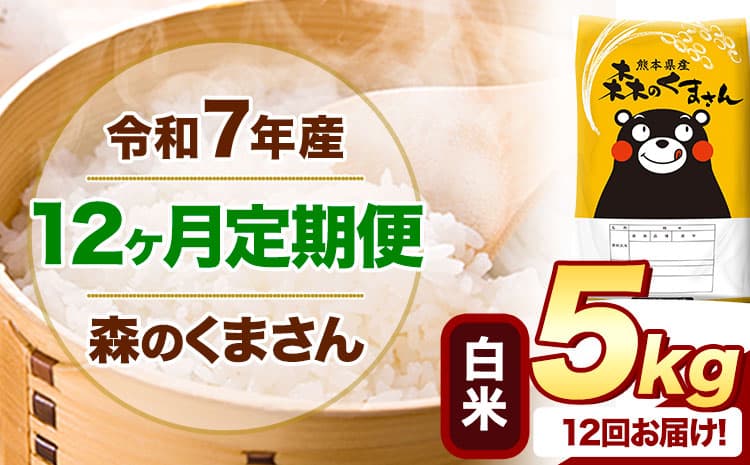 【12ヶ月定期便】令和7年産 白米 森のくまさん 5kg 5kg×1袋 《お申込み翌月から出荷》 熊本県産 白米 精米 米 こめ コメ お米 kome ---mifune_lcl_1253_mo12_---