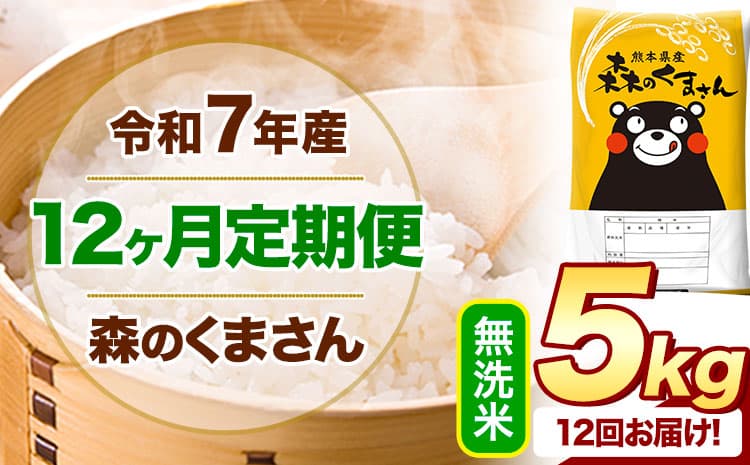 【12ヶ月定期便】令和7年産 無洗米 森のくまさん 5kg 5kg×1袋 《お申込み翌月から出荷》 熊本県産 無洗米 精米 米 こめ コメ お米 kome ---mifune_lcl_1254_mo12_---