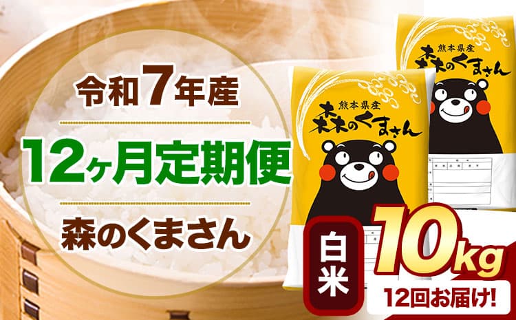 【12ヶ月定期便】令和7年産 白米 森のくまさん 10kg 5kg×2袋 《お申込み翌月から出荷》 熊本県産 白米 精米 米 こめ コメ お米 kome ---mifune_lcl_1255_mo12_---