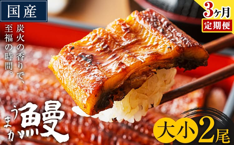 【3ヶ月定期便】うなぎ 大小 2尾 国産 鰻 真空パック おすすめ うなぎの蒲焼 《お申込み翌月から出荷》 ふるさとのうぜい 特上 簡易包装 ウナギ unagi 蒲焼 秋 冬 旬 配送時期 冷凍---mifune_lcl_1336_mo3---