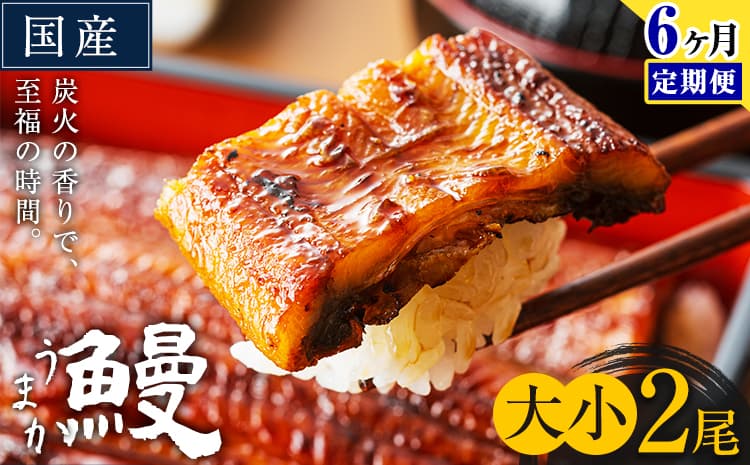 【6ヶ月定期便】うなぎ 大小 2尾 国産 鰻 真空パック おすすめ うなぎの蒲焼 《お申込み翌月から出荷》 ふるさとのうぜい 特上 簡易包装 ウナギ unagi 蒲焼 秋 冬 旬 配送時期 冷凍---mifune_lcl_1337_mo6---