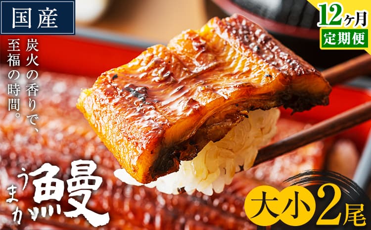 【12ヶ月定期便】うなぎ 大小 2尾 国産 鰻 真空パック おすすめ うなぎの蒲焼 《お申込み翌月から出荷》 ふるさとのうぜい 特上 簡易包装 ウナギ unagi 蒲焼 秋 冬 旬 配送時期 冷凍---mifune_lcl_1338_mo12---