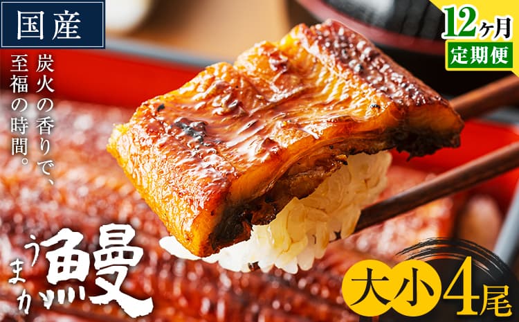 【12ヶ月定期便】うなぎ 大小 4尾 国産 鰻 真空パック おすすめ うなぎの蒲焼 《お申込み翌月から出荷》 ふるさとのうぜい 特上 簡易包装 ウナギ unagi 蒲焼 秋 冬 旬 配送時期 冷凍---mifune_lcl_1341_mo12---