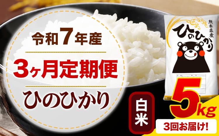 【3ヶ月定期便】令和7年産 ひのひかり 5kg 白米 《お申込み翌月から出荷》 熊本県産 ひの 米 こめ ふるさとのうぜい ヒノヒカリ コメ 熊本米 定期便---mifune_lcl_1217_mo3_---