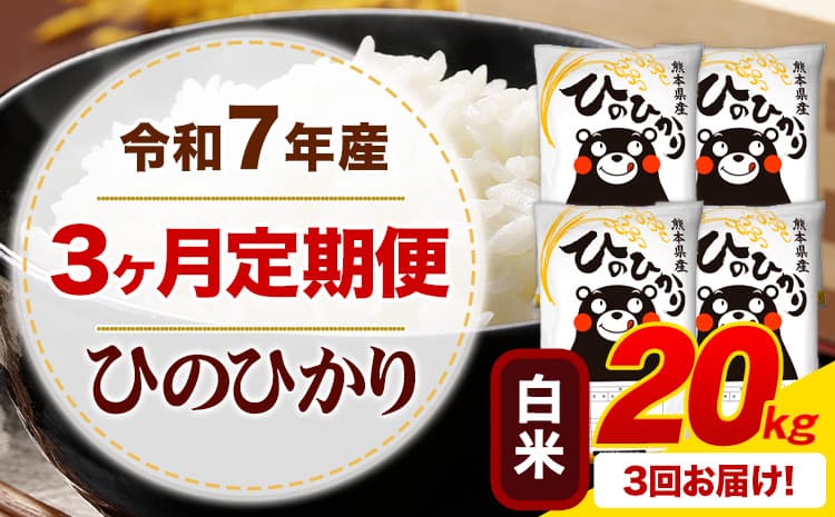 【3ヶ月定期便】令和7年産 ひのひかり 20kg 白米 《お申込み翌月から出荷》 熊本県産 ひの 米 こめ ふるさとのうぜい ヒノヒカリ コメ 熊本米 定期便---mifune_lcl_1221_mo3_---