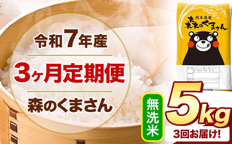 【3ヶ月定期便】令和7年産 無洗米 森のくまさん 5kg 5kg×1袋 《お申込み翌月から出荷》 熊本県産 無洗米 精米 米 こめ コメ お米 kome ---mifune_lcl_1242_mo3_---