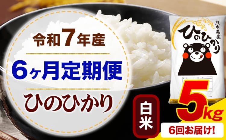 【6ヶ月定期便】令和7年産 白米 ひのひかり 定期便 5kg《お申込み翌月から出荷》熊本県産 ふるさと納税 精米 ひの 米 こめ ふるさとのうぜい ヒノヒカリ コメ お米---mifune_lcl_1223_mo6_---