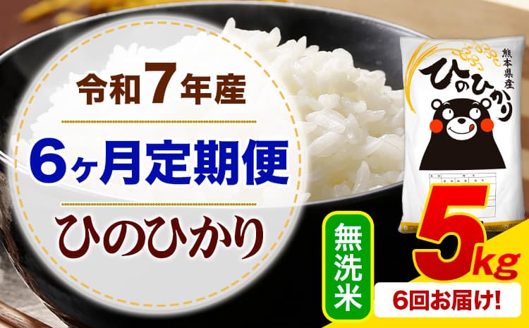 【6ヶ月定期便】令和7年産 無洗米 ひのひかり 定期便 5kg《お申込み翌月から出荷》熊本県産 ふるさと納税 精米 ひの 米 こめ ふるさとのうぜい ヒノヒカリ コメ お米---mifune_lcl_1224_mo6_---