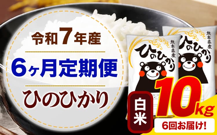 【6ヶ月定期便】令和7年産 白米 ひのひかり 定期便 10kg《お申込み翌月から出荷》熊本県産 ふるさと納税 精米 ひの 米 こめ ふるさとのうぜい ヒノヒカリ コメ お米---mifune_lcl_1225_mo6_---