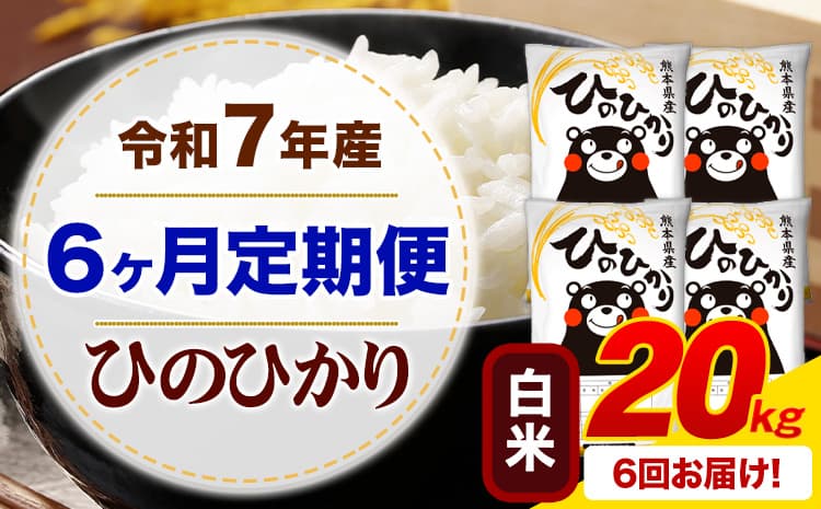 【6ヶ月定期便】令和7年産 白米 ひのひかり 定期便 20kg《お申込み翌月から出荷》熊本県産 ふるさと納税 精米 ひの 米 こめ ふるさとのうぜい ヒノヒカリ コメ お米---mifune_lcl_1227_mo6_---