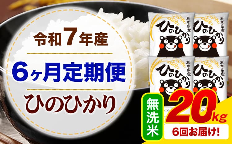 【6ヶ月定期便】令和7年産 無洗米 ひのひかり 定期便 20kg《お申込み翌月から出荷》熊本県産 ふるさと納税 精米 ひの 米 こめ ふるさとのうaぜい ヒノヒカリ コメ お米---mifune_lcl_1228_mo6_---